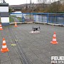 Quelle: (c) FFV Abteilung Presse und Öffentlichkeitsarbeit